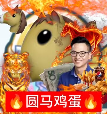 圆马鸡蛋